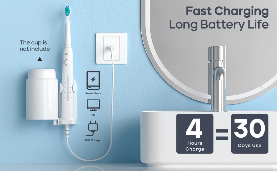 Seago Electric Toothbrush Tooth brush USB Rechargeable Adult Ultrasonic Teeth Cleaning 10 Replacement Toothbrush Heads