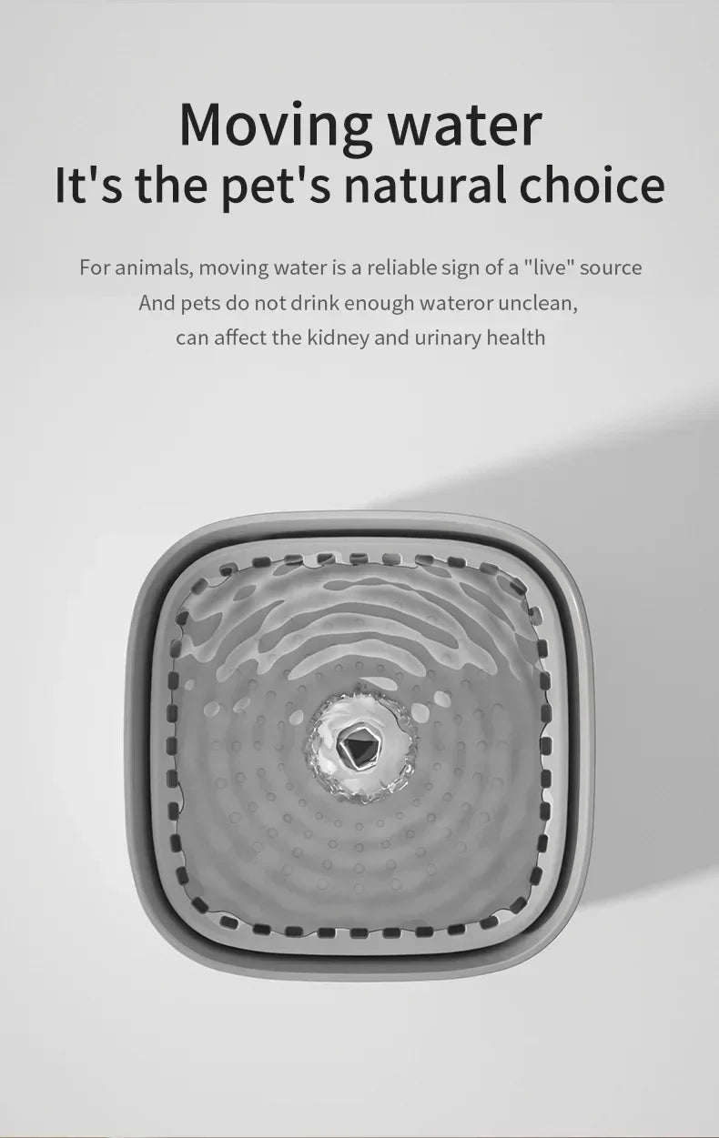 3L Cat Water Fountain Auto ERecirculate Filter Large Capacity Filtring Cat Water Drinker 1USB Electric Mute Cats Water Dispenser
