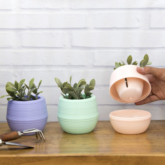Maceta root auto riego por mayor - Bazar Mayorista